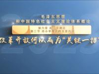 开云官网-明尼罗西中场表现出色，成为关键一员的简单介绍