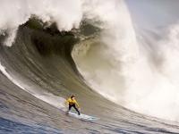 开云官方app入口-奇才打穿太阳，克莱·汤普森如何用教科书级表现定义现代篮球