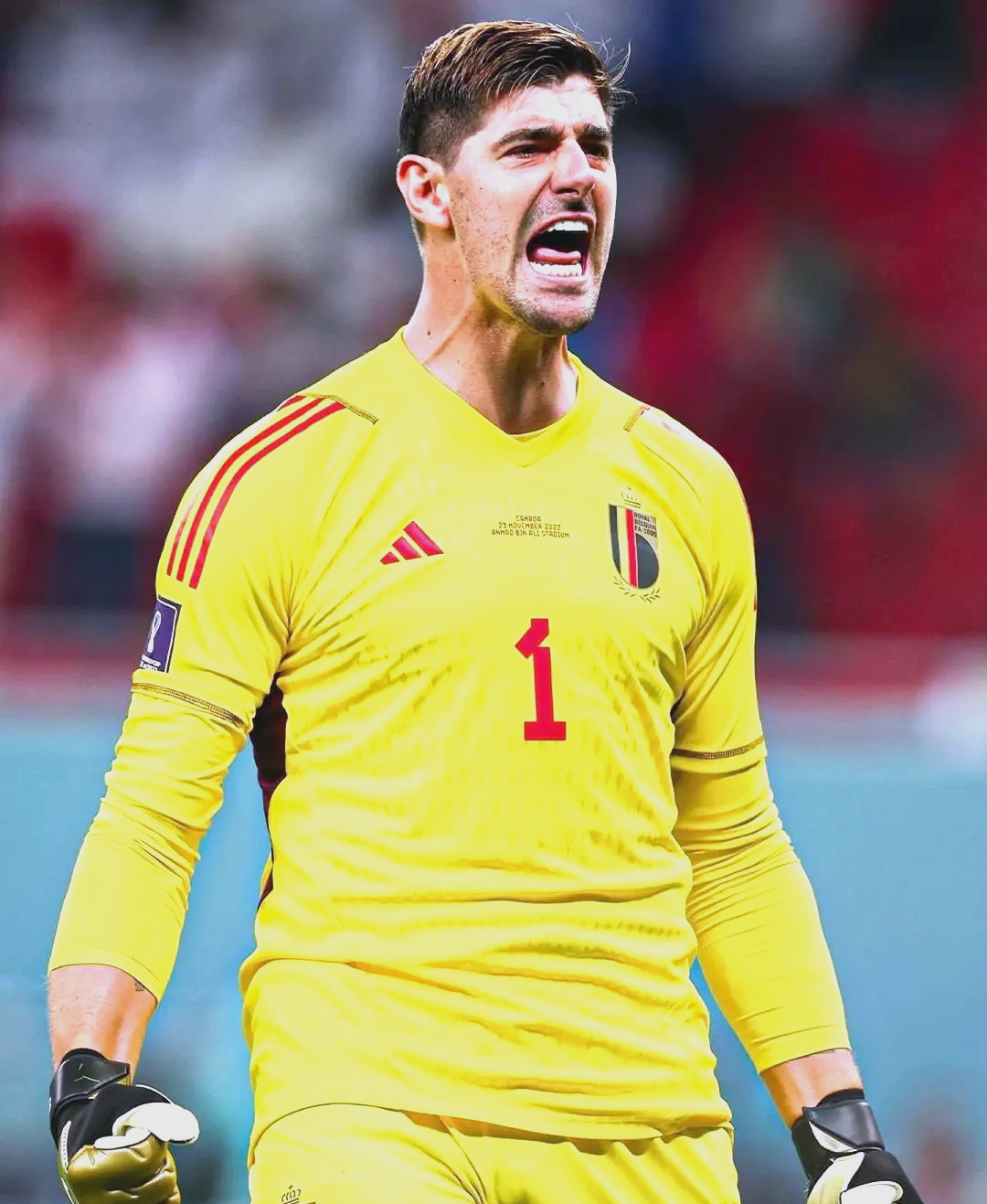 关于比利时国家队遭遇意外失利，艰难晋级下一轮的信息