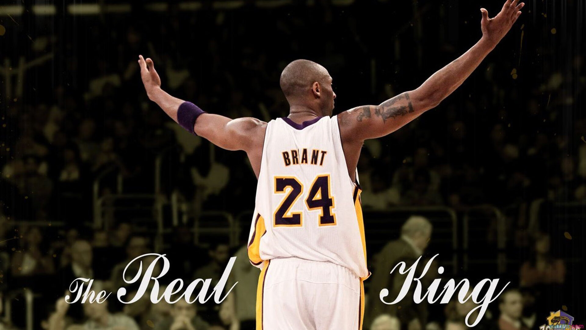 铁血公牛掀翻广厦,詹姆斯末节救赎封神